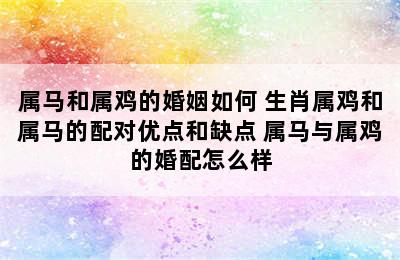 属马和属鸡的婚姻如何 生肖属鸡和属马的配对优点和缺点 属马与属鸡的婚配怎么样